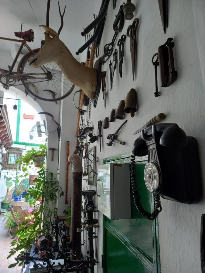 ヘレスCasa Museo Jerez Centroアパートメント エクステリア 写真