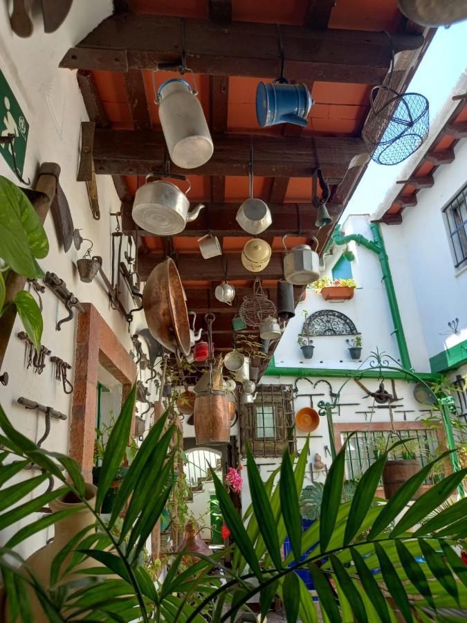 ヘレスCasa Museo Jerez Centroアパートメント エクステリア 写真