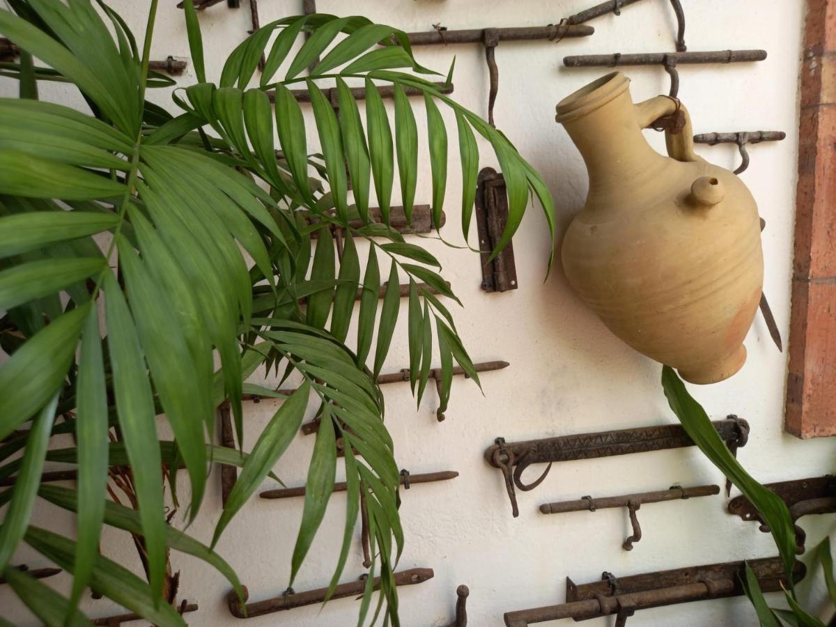 ヘレスCasa Museo Jerez Centroアパートメント エクステリア 写真