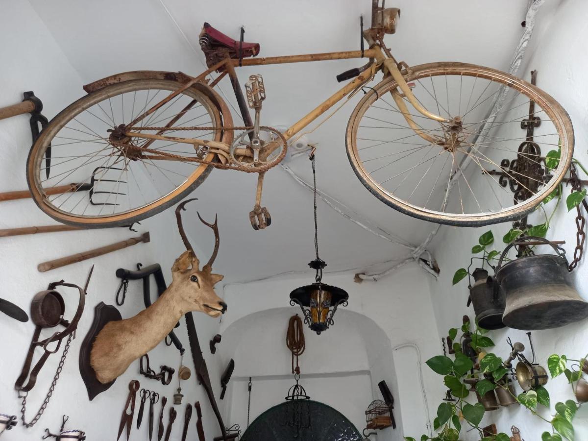 ヘレスCasa Museo Jerez Centroアパートメント エクステリア 写真