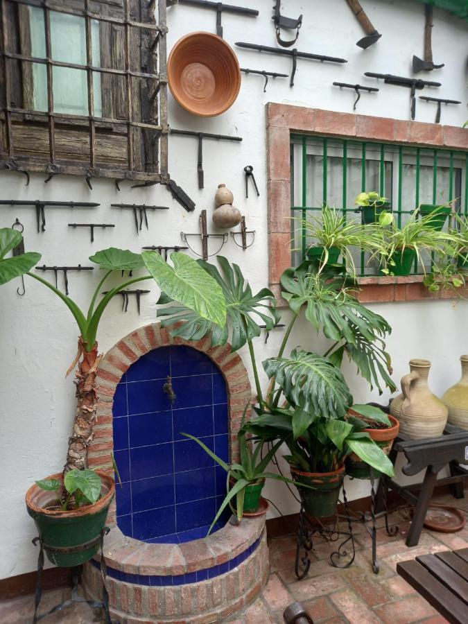 ヘレスCasa Museo Jerez Centroアパートメント エクステリア 写真
