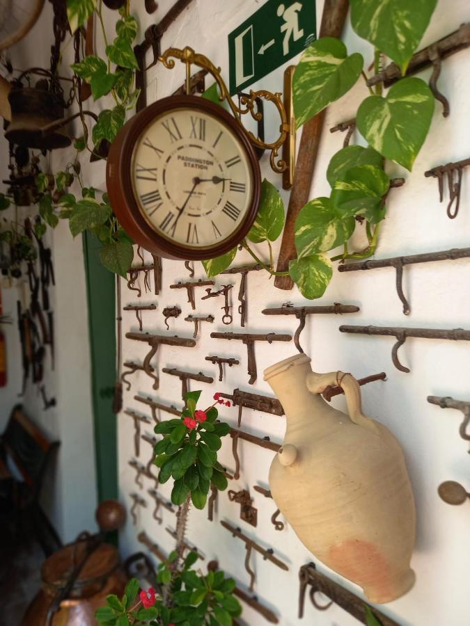 ヘレスCasa Museo Jerez Centroアパートメント エクステリア 写真