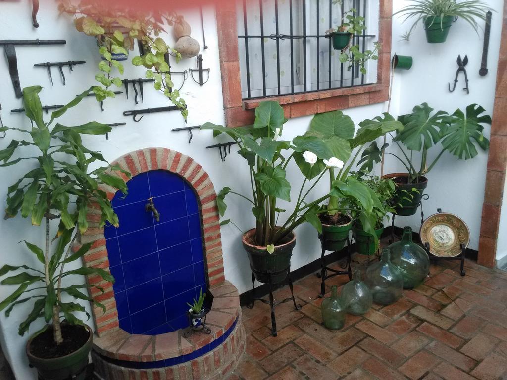 ヘレスCasa Museo Jerez Centroアパートメント エクステリア 写真