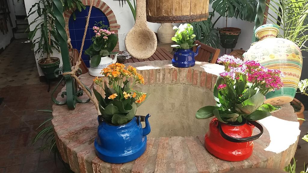 ヘレスCasa Museo Jerez Centroアパートメント エクステリア 写真
