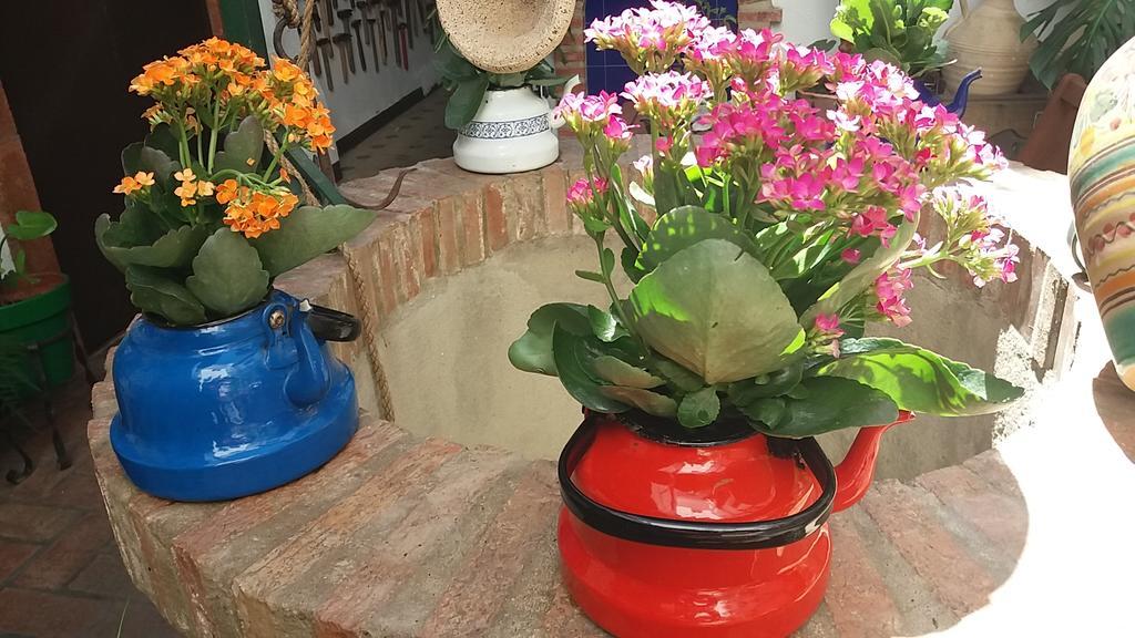 ヘレスCasa Museo Jerez Centroアパートメント エクステリア 写真